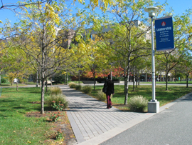 Stony Brook University